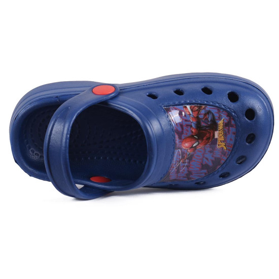 Disney Garden Disney Garden